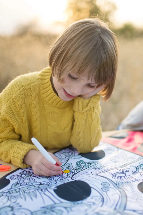 Colour A Ladybug Cape