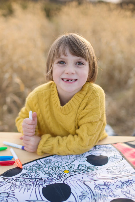 Colour A Ladybug Cape
