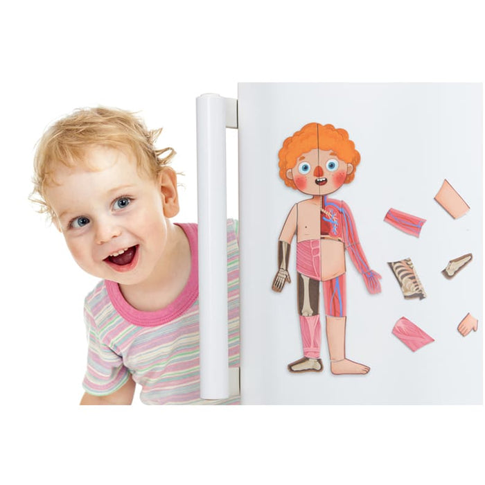 Body Magnets – Human Anatomy Learning Toy – Ages 6+