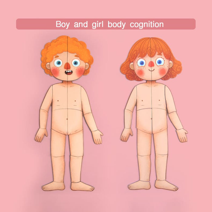 Body Magnets – Human Anatomy Learning Toy – Ages 6+