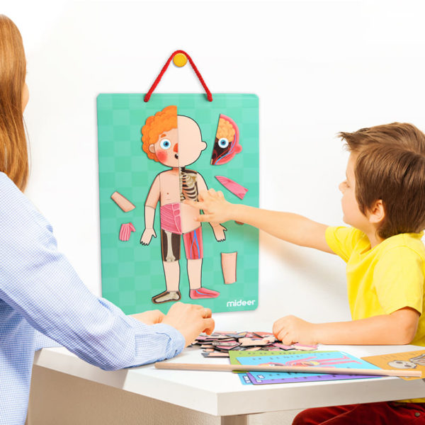 Body Magnets – Human Anatomy Learning Toy – Ages 6+
