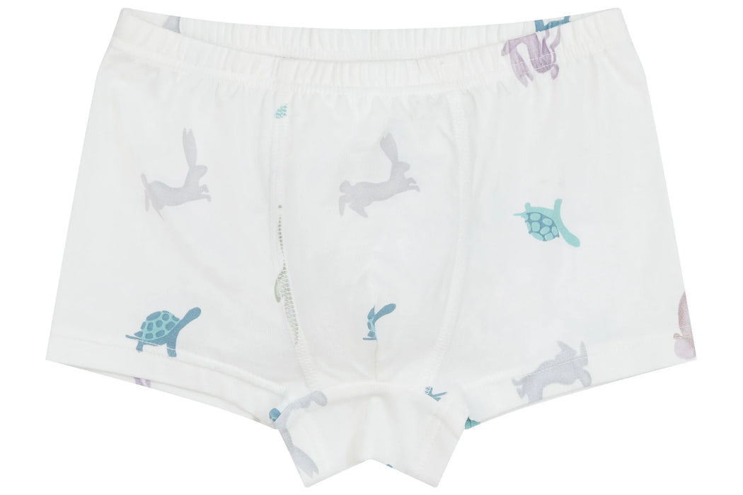Bamboo Boys Boxer Briefs Underwear (2 Pack) - The Hare & The Ant