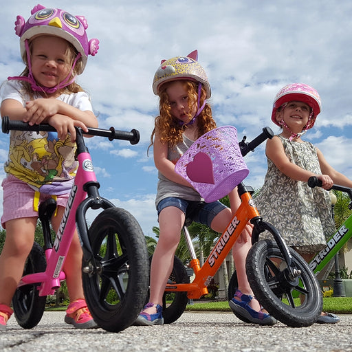 Dinosaur bike with training wheels hotsell
