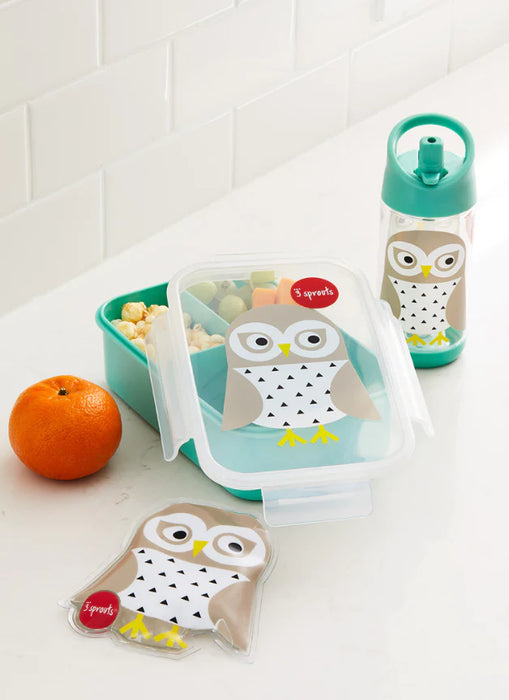 Owl Bento Box
