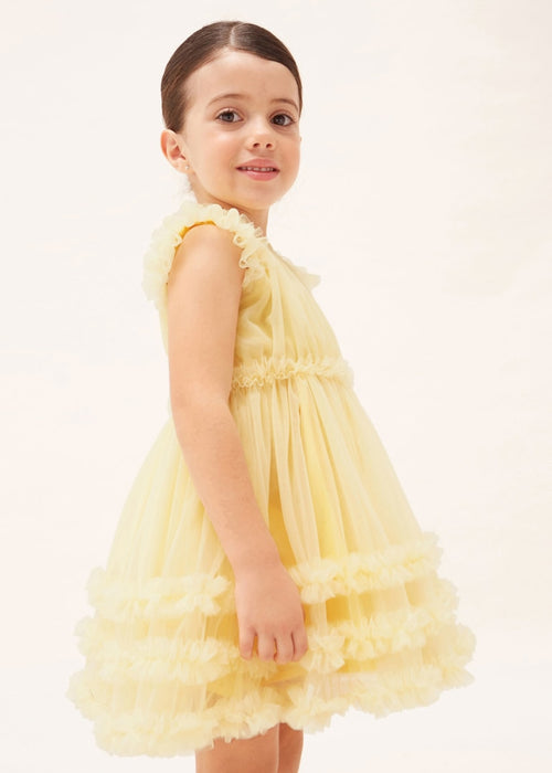Tulle Dress Girl