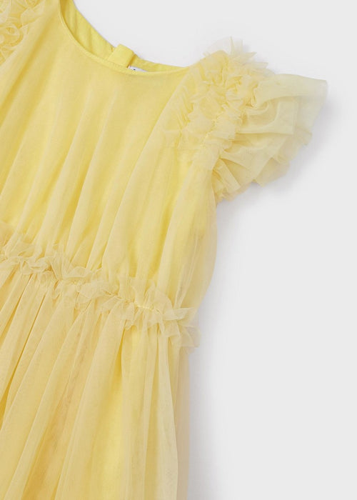 Tulle Dress Girl